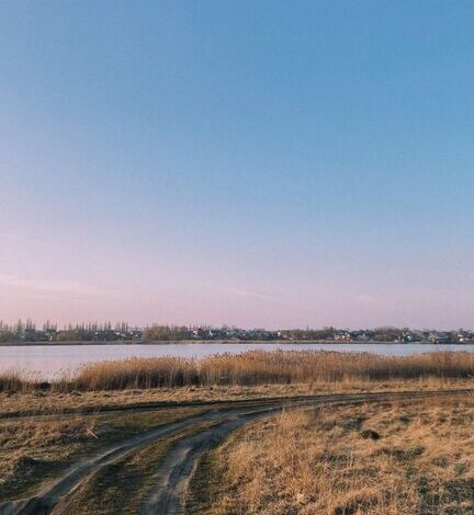 Ideas for Peaceful Weekend Mornings to Start Your Day Right